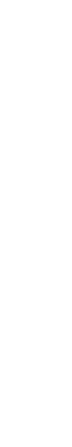 vector